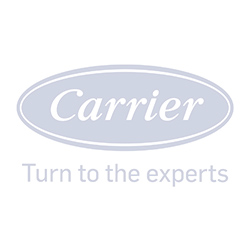2019 Carrier Brand Identity Guidelines (PDF-file)